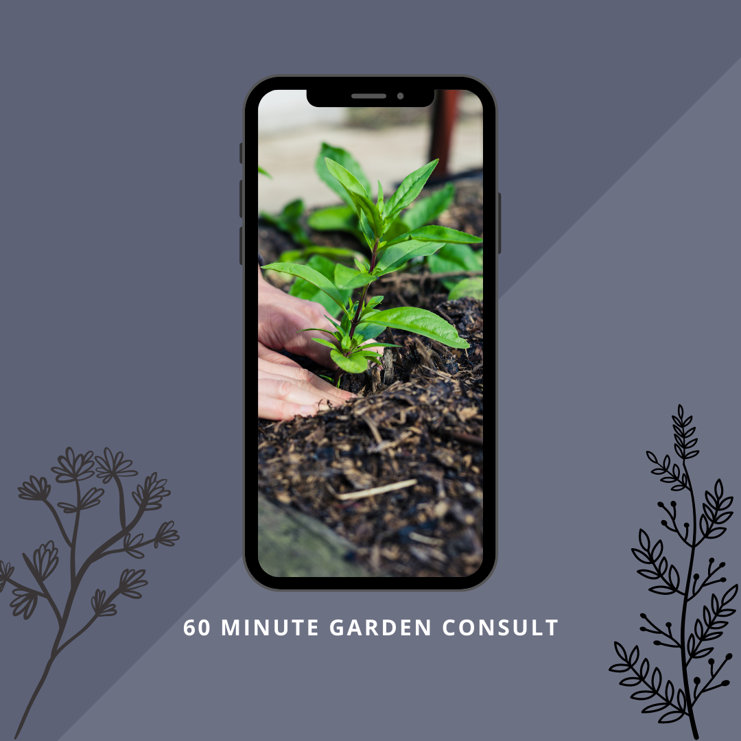 Garden Consult - 60 Minutes