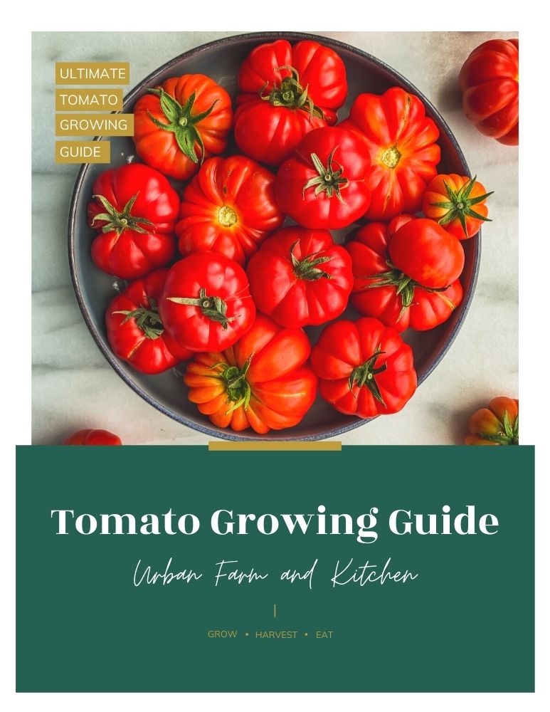 Tomato growing guide ebook cover